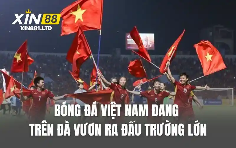 Bóng đá Việt Nam đang trên đà vươn ra đấu trường lớn