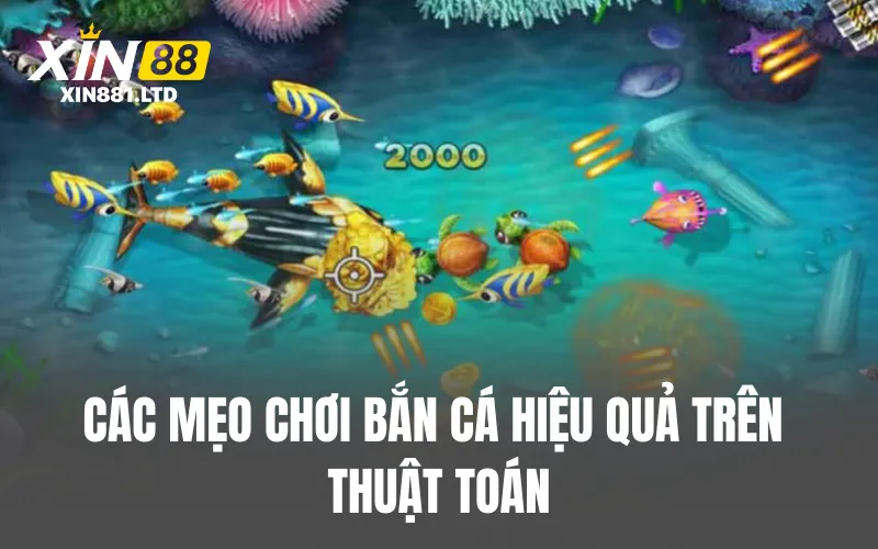 Các mẹo chơi bắn cá hiệu quả trên thuật toán