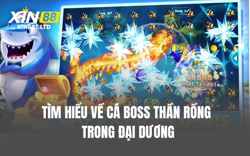 Tìm hiểu về cá boss Thần Rồng trong đại dương