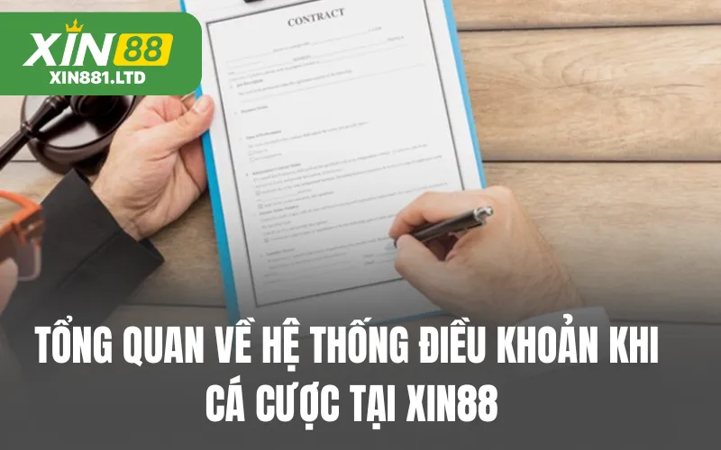 Tổng quan về hệ thống điều khoản khi cá cược tại XIN88