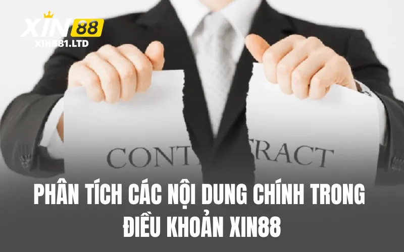 Phân tích các nội dung chính trong điều khoản XIN88
